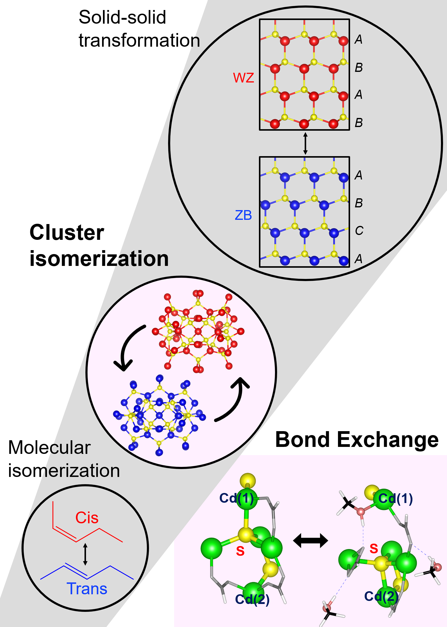 Multiscale isomerization of magic-sized inorganic clusters chemically driven by atomic-bond exchanges